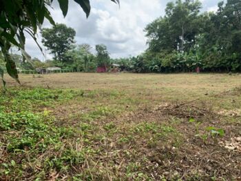 Hermoso lote en Las Pavas de Upala en Delicias, Upala, Alajuela — 12 000 000 ₡ - Foto 4 de 9