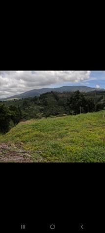 Lote en San Luis de Grecia  en Bolívar, Grecia, Alajuela — ₡ 30 000 000