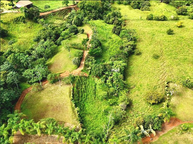 SE VENDE QUINTA CON ARROYO NATURAL Y VISTAS PANORAMICAS in El General, Pérez Zeledón, San José — $138,500