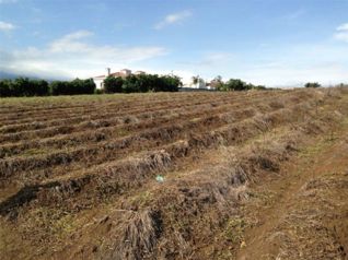 Perfect development property in La Asunción, Belén, Heredia — $395,000 - Photo 3 of 8