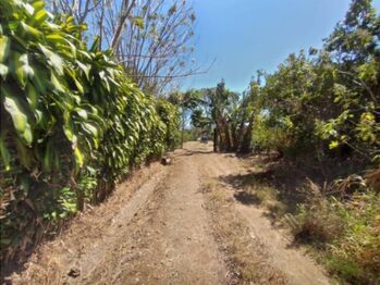 Se vende amplio lote de 5000m2 en Santo Tomas Heredia 25-438 in Santo Tomás, Santo Domingo, Heredia — 100 000 000 ₡ - Photo 4 of 21