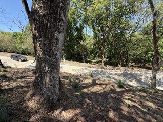 Lote Esquinero en Venta en Ecovilla San Mateo - Foto 3 de 3