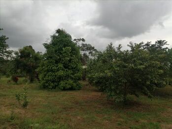 Farm For Sale Las Horquetas, Sarapiquí, Heredia