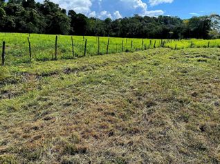 Terreno en Venta en Mata Palo, Quepos en Quepos, Puntarenas — $550,000 - Foto 3 de 8