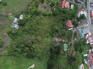Terreno para Desarrollo Residencial en Venta Cervantes Cartago Ruta 10 en Cervantes, Alvarado, Cartago — 50 000 000 ₡ - Foto 3 de 4