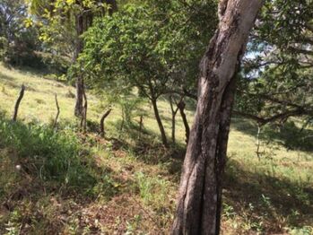 Venta de Lote en Esparza-Puntarenas. RAH 26-1103 en Espíritu Santo, Esparza, Puntarenas — 153 000 000 ₡ - Foto 5 de 18