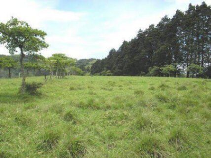 Se vende amplio lote de 28 hectáreas en San Nicolas de Cartago 25-338 in San Nicolás, Cartago — $6,000,000