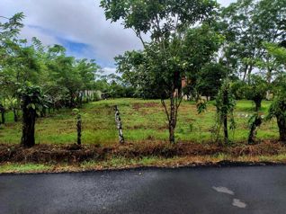🌿 LOTE DE 2.209 m² EN VENTA | MUELLE DE LA PALMERA, SAN CARLOS en La Palmera, San Carlos, Alajuela — 40 000 000 ₡ - Foto 3 de 13