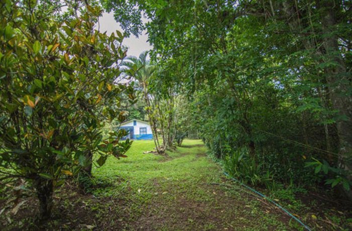 Venta de finca en San Ramón de Alajuela in San Ramón, Alajuela — $340,000 - Photo 2 of 35
