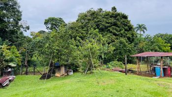 🌿🏡 ¡AMPLIO TERRENO CON CASA EN VENTA EN SIQUIRRES! in La Alegría, Siquirres, Limón — 110 000 000 ₡ - Photo 3 of 14
