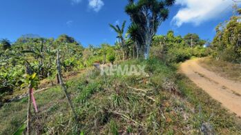 LOTE CON VISTA A LA CORDILLERA DE TALAMANCA EN PÉREZ ZELEDÓN en Platanares, Pérez Zeledón, San José — $14,000 - Foto 4 de 13