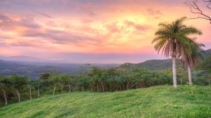 Farm of 463,196 m2 with 91 lots, house, farm and commercial area in Atenas, Alajuela — $8,000,008 - Photo 2 of 13