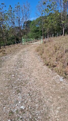 Gran oportunidad en Puntarenas: Finca de 66.7 hectáreas con alto potencial agrícola y ganadero in Lepanto, Puntarenas — ₡ 234 000 000