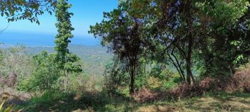 Lote en venta en Puerto Cortés, Osa Vistas al océano Precio Rebajado in Puerto Cortés, Osa, Puntarenas — $130,000 - Photo 5 of 21