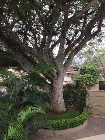 VENTA DE CASA DE LUJO, SAN JOSE, ESCAZU, JABONCILLOS in Escazú, San José — $1,500,000 - Photo 3 of 13