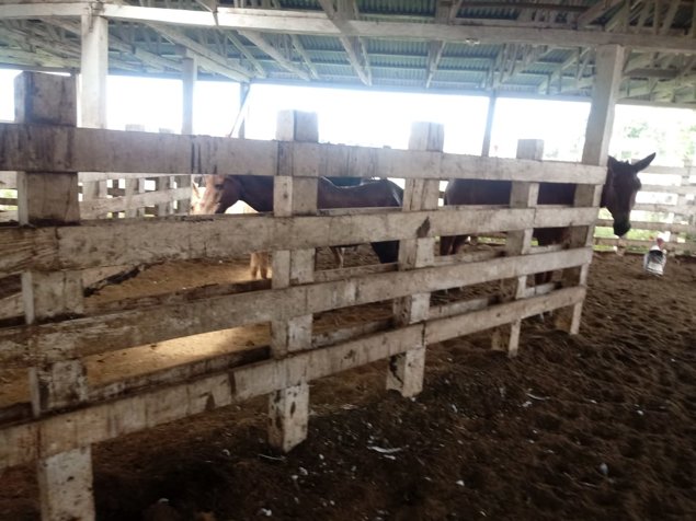 Finca de 1123 Ha para ganado de engorde en Cañas en Cañas, Guanacaste — $6,000,000 - Foto 3 de 19