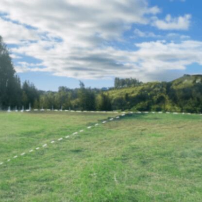 Lotes en venta en  Llano Bonito de Naranjo en Naranjo, Alajuela — ₡ 75 000 000
