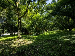 EN VENTA Lote en Condominio Hacienda Los Ceibos Orotina en La Ceiba, Orotina, Alajuela — $168,660 - Foto 4 de 30