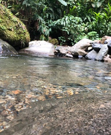 Se venden Terrenos en el Valle de Orosi, para quintas en Orosi, Paraíso, Cartago — $120,000