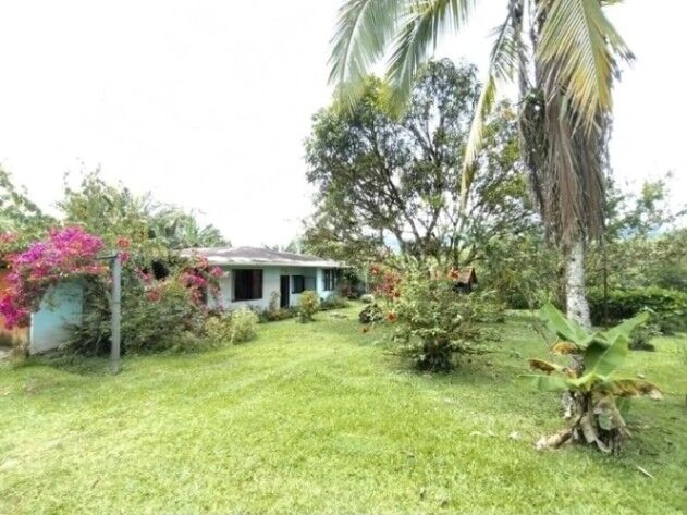 Beautiful property with house in Limoncito, Coto Brus, Puntarenas — ₡ 30 000 000