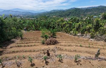 Lote en Venta en Zaragoza de Palmares in Zaragoza, Palmares, Alajuela — 28 750 000 ₡ - Photo 2 of 7