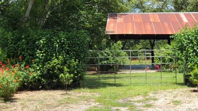 SE VENDE BELLÍSIMA QUINTA EN HOJANCHA, GUANACASTE  in Hojancha, Guanacaste — ₡ 25 000