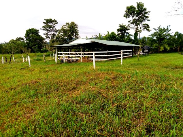 VENTA - Finca con vistas a dos volcanes cerca del Río Celeste- con casa de habitación in Katira, Guatuso, Alajuela — ₡ 130 000 000