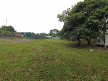 MLS-25-1064 VENTA LOTE POCOCI LIMON en Guápiles, Pococí, Limón — 60 000 000 ₡ - Foto 4 de 9