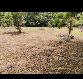 Venta de Lote en Carrillo-Belén, Guanacaste. RAH 25-1061 in Belén, Carrillo, Guanacaste — 50 000 000 ₡ - Photo 4 of 7