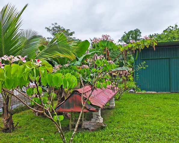 Hermosa Casa a 20 minutos de la Fortuna en Peñas Blancas, San Ramón, Alajuela — $135,000 - Foto 3 de 23