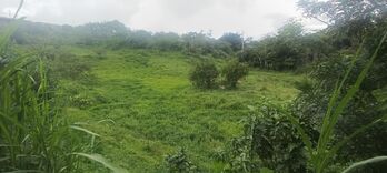 Última gran extensión disponible en Copa Buena,13,254 m² listos para desarrollo con alto retorno. in Aguabuena, Coto Brus, Puntarenas — 33 000 000 ₡ - Photo 5 of 10
