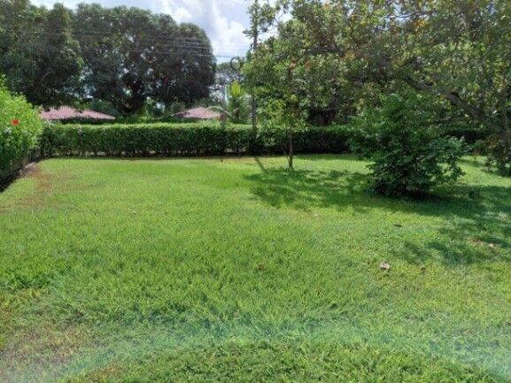 MLS-26-257 LS VENTA LOTE LA CEIBA OROTINA  in La Ceiba, Orotina, Alajuela — ₡ 30 000 000