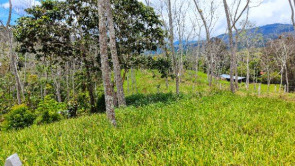 VENTA DE LOTE PREMIUM DE 1.873 M2 EN SANTA ROSA, PEREZ ZELEDON in San Isidro De El General, Pérez Zeledón, San José — $55,999