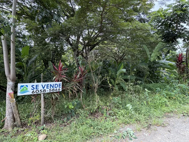 LOTE PLAYA NEGRA PUERTO VIEJO NATURALEZA A SU ALCANCE in Cahuita, Talamanca, Limón — $93,300 - Photo 3 of 42