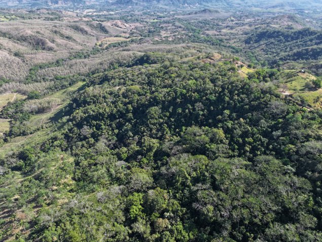 Venta de finca en Hojancha Guanacaste in Huacas, Hojancha, Guanacaste — $515,000,000 - Photo 3 of 9
