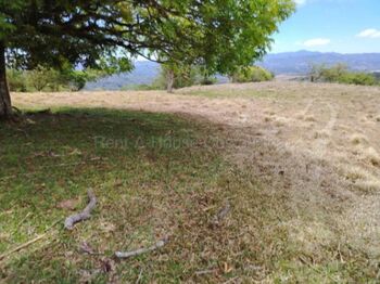 Venta de Lote en San Ramón-Piedades Sur. RAH 26-1770 en Piedades Sur, San Ramón, Alajuela — 550 000 000 ₡ - Foto 5 de 15