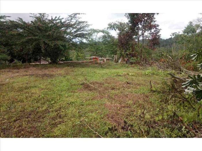 VENTA DE LOTE, ALAJUELA, UPALA en Upala, Alajuela — ₡ 6 045 000