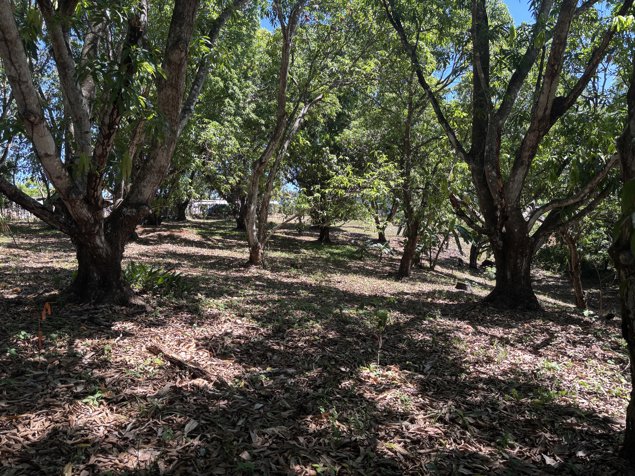 VENTA / Terreno en Coyolar, Orotina, Alajuela en Coyolar, Orotina, Alajuela — ₡ 45 000 000 - Foto 3 de 14