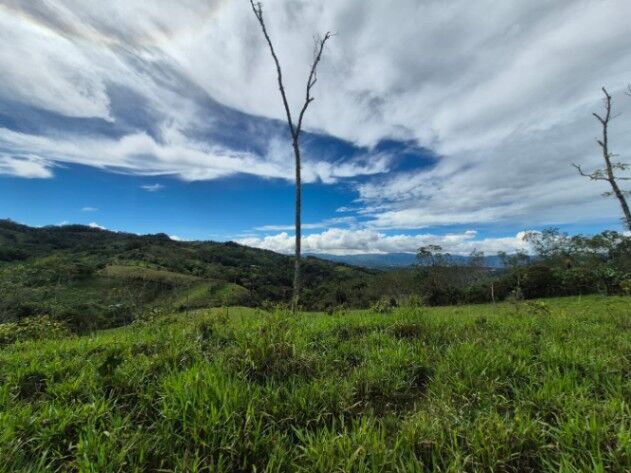 2+ hectares con vista en Santa Cruz, Miraflores, Perez Zeledon. en El General, Pérez Zeledón, San José — $250,000