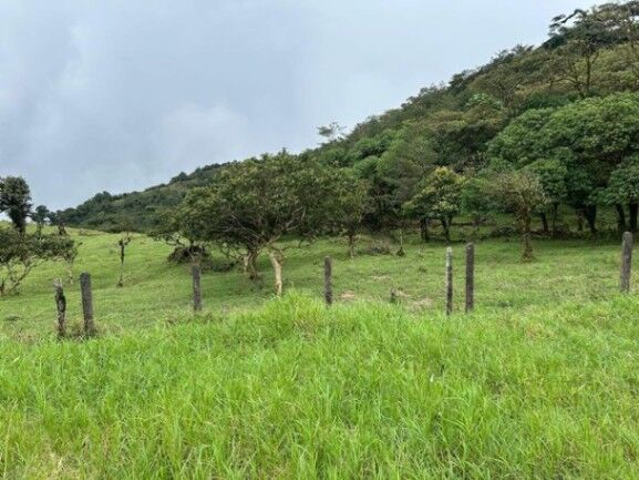 MLS-26-18 LS VENTA LOTE PALMITAL PUNTARENAS en Puntarenas — ₡ 25 500 000