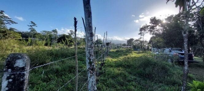 Venta de Lote en Grecia-Río Cuarto, Alajuela. RAH 26-2091 en Grecia, Alajuela — ₡ 58 000 000