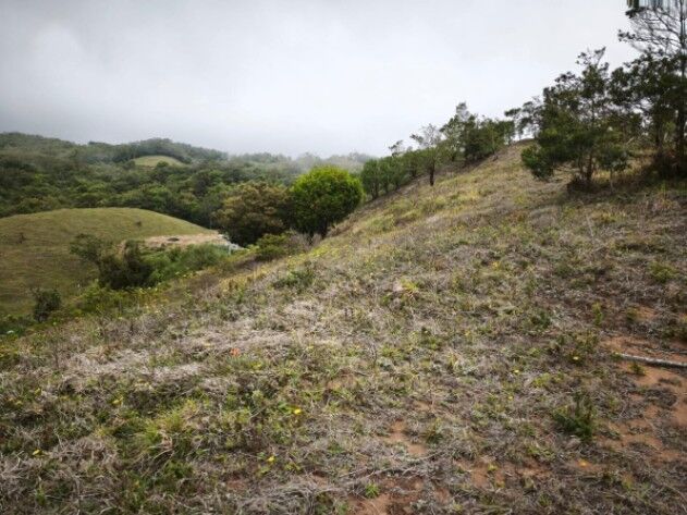 VENDO BELLA FINCA EN ZAPOTAL, SAN RAMÓN.  in San Ramón, Alajuela — ₡ 27 490 000