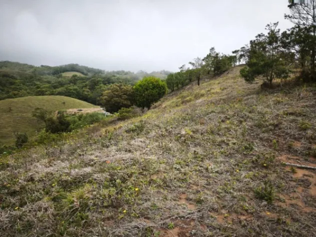 VENDO BELLA FINCA EN ZAPOTAL, SAN RAMÓN.  en San Ramón, Alajuela — ₡ 27 490 000 - Foto 2 de 9