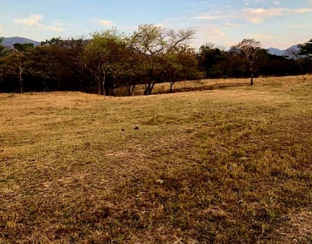 VENTA DE LOTE, GUANACASTE, SANTA CRUZ en Santa Cruz, Guanacaste — $50,000