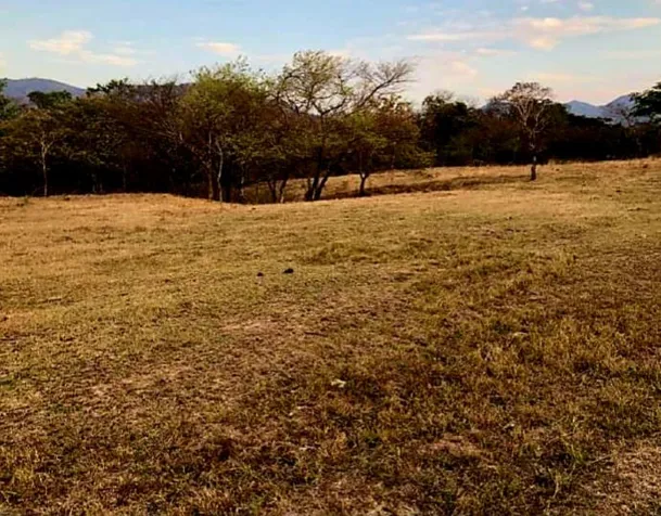 VENTA DE LOTE, GUANACASTE, SANTA CRUZ in Santa Cruz, Guanacaste — $50,000