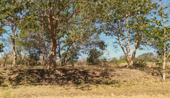 Lote residencial en Playa Flamingo cerca de la Marina in Cabo Velas, Santa Cruz, Guanacaste — $320,000