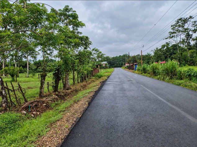 🌿 LOTE DE 2.209 m² EN VENTA | MUELLE DE LA PALMERA, SAN CARLOS en La Palmera, San Carlos, Alajuela — ₡ 40 000 000