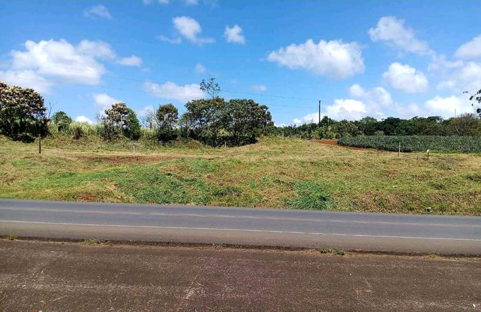 Terreno en Venta en Río Cuarto en Aguas Zarcas, San Carlos, Alajuela — ₡ 20 000 000