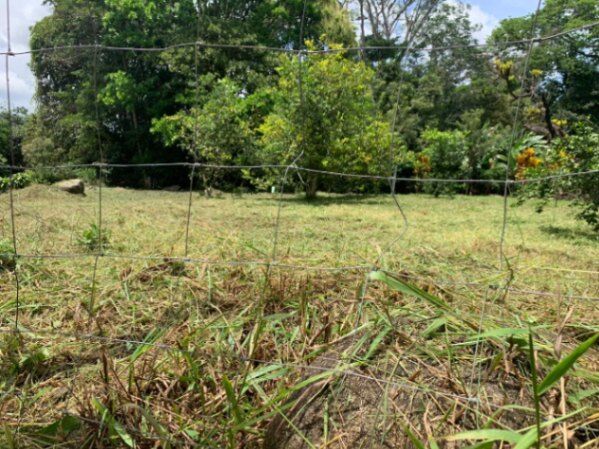 Lote esquinero en Cajón, Pérez Zeledón in Cajón, Pérez Zeledón, San José — ₡ 25 000 000