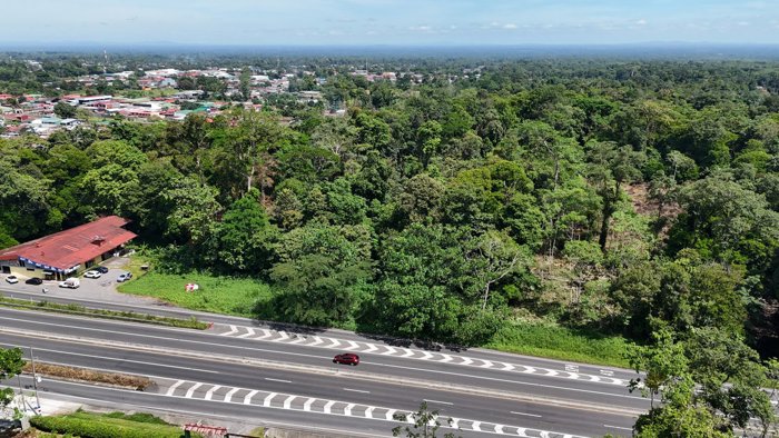 VENTA DE FINCA ALTA DENSIDAD Y COMERCIAL, LIMÓN, GUÁPILES en Guápiles, Pococí, Limón — $574,600